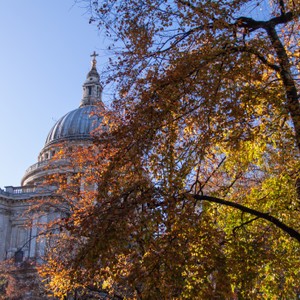 Autumn at St Paul's, London, United Kingdom