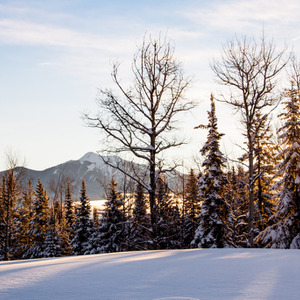 Just after dawn at Banff, fresh snow