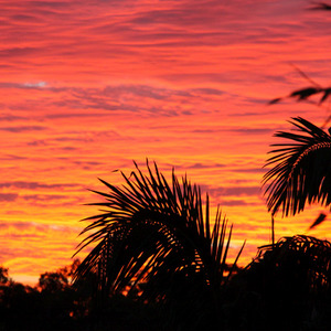 Brisbane Sunset, Red