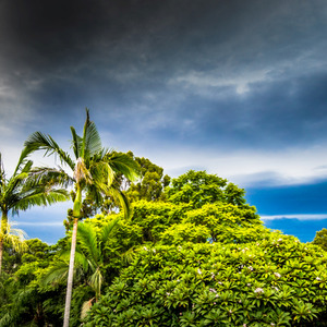 March storms in Brisbane