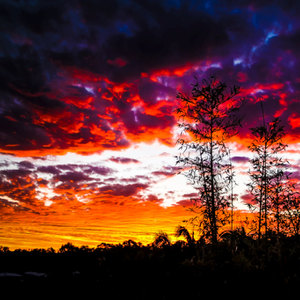 Brisbane Sunset