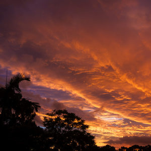 Summer Sunsets in Brisbane, Australia