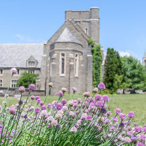 Flowers, Cornell University, Ithaca NY