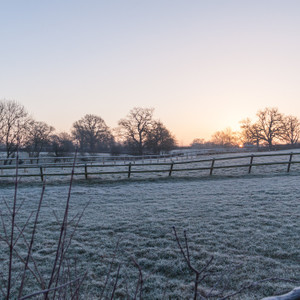 Frosty Sunrise, Tallarn Green, Wales, UK