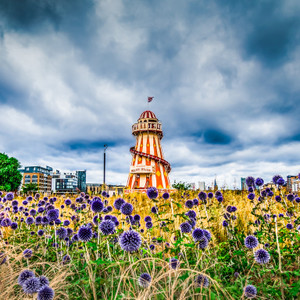 Tower and Flowers, Greenwich, London, UK
