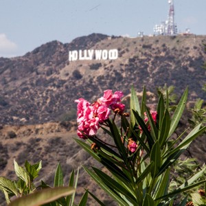 Hollywood Sign, Griffith Park, Los Angeles