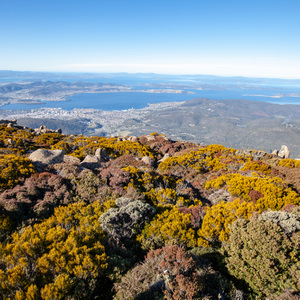 Summit, Mt Wellington, Hobart, Tasmania, Australia
