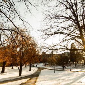 OSU grounds, winter, Columbus Ohio