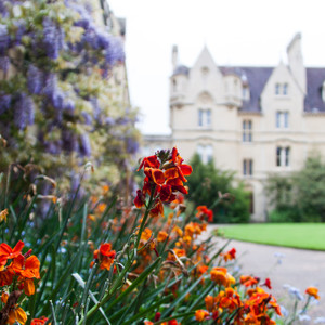 Trinity College Spring Flowers, Oxford, UK
