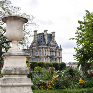 Paris in Autumn