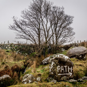 The Path, Mount Snowdon, Wales, UK