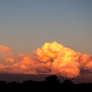 Sunset, University of Queensland