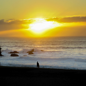 Surfer, Pacifica