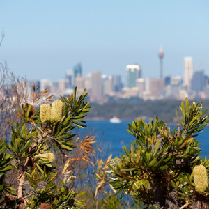 Views of Sydney, Sydney, Australia